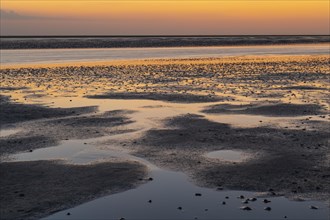 Mudflats in evening light