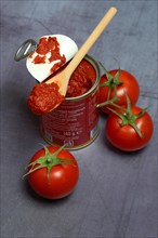 Tinned tomato paste and tomatoes