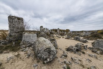 Stone desert Pobiti Kamani rock phenomenon