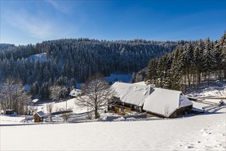 Black Forest farm in winter