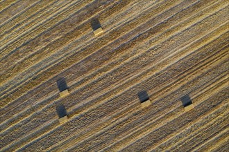 Bales of straw and abstract patterns in cornfield after wheat harvest