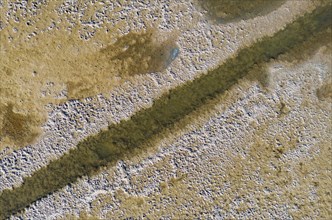 Saline soil near the saltworks at Almadraba de Monteleva