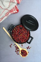 Dried beans in cast iron pot