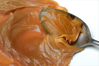 Salted caramel cream with spoon