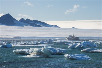 Cruise ship behind icebergs
