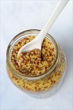 Grainy mustard in glass with spoon