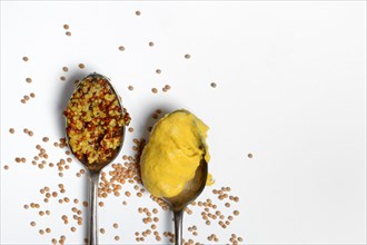 Grainy and fine mustard in spoon