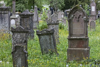 Gravestones at the Jewish cemetery