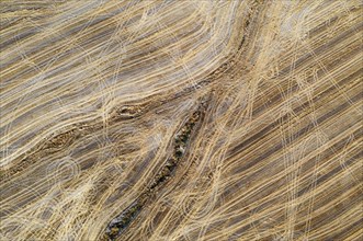 Abstract patterns caused by tractor wheel ruts in cornfield after wheat harvest