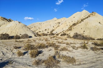 Bare ridges of eroded sandstone in the Tabernas Desert