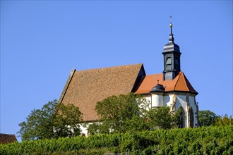 Late Gothic pilgrimage church Maria im Weingarten