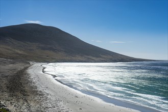 The Neck isthmus on Saunders island