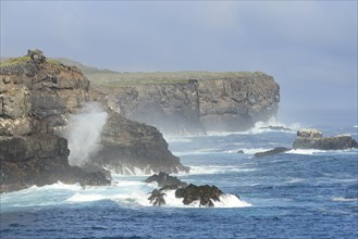 Waves splashing against cliff