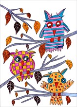 Three owls sitting on branches