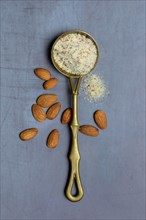 Ground almonds in ladle