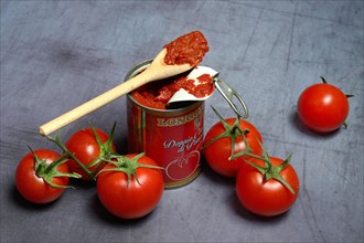 Can of tomato paste and tomato paste on a wooden spoon
