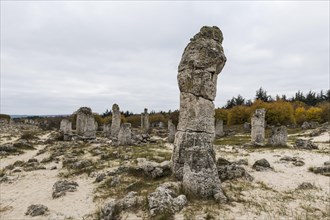 Stone desert Pobiti Kamani rock phenomenon