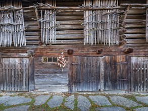 Tyrolean Farm Detail