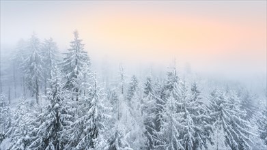 View from Arnstein rock over snowy spruce forest with fog at sunset