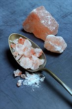 Himalayan salt in spoon