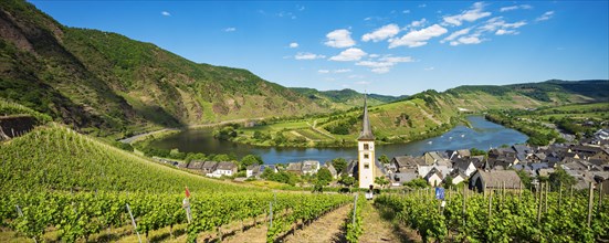 Panorama of the Moselle loop