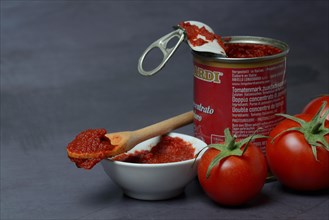 Tomato paste in can and skin