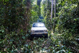 Car driving through the wild roads of the Unesco world heritage sight Dzanga-Sangha Special Reserve