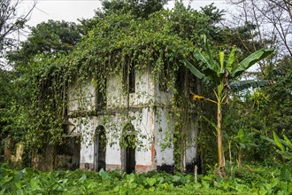 Decaying houses in the old plantation Roca Bombaim in the jungle interior of Sao Tome