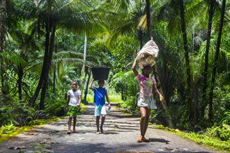Children with buckets on their head walking through the jungle of the south coast of Sao Tome