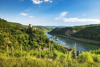 View of Gutenfels Castle on the Rhine