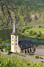 Winegrowing village Bremm at the Moselle with St. Laurentius church