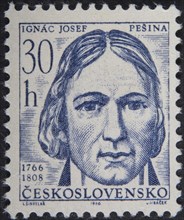 Josef Inga Pesina