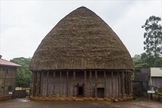 Large chiefdom