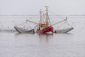Crab cutter in the Wadden Sea