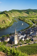 Winegrowing village Bremm on the Moselle with Saint Laurentius Church