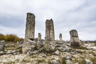 Stone desert Pobiti Kamani rock phenomenon