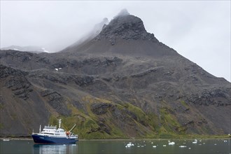 Cruise ship in the bay of Grytviken