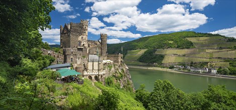 Rheinstein Castle on the Rhine