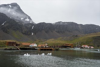 Former whaling station Grytviken
