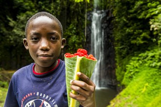 Boy selliing wild rasberrys before the waterfall of Sao Nicolau in the jungle of Sao Tome