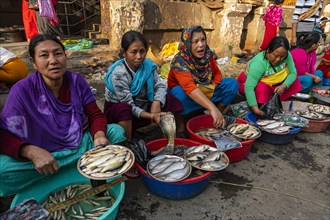 Colourful dressed women vendors selling fish