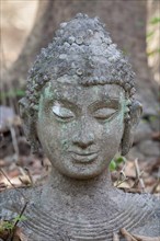 Buddha sculpture from the gardens of Wat Umong