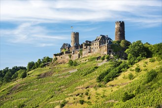 Thurant Castle above vineyards in the Moselle Valley