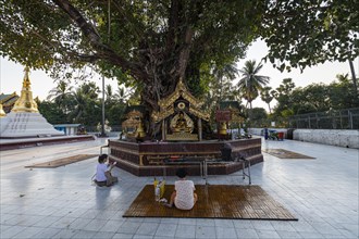 Pilgrims praying in the Shwedagon pagoda