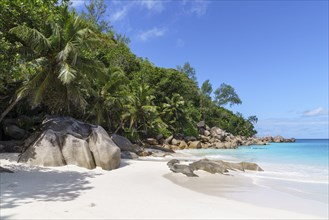 Sandy beach beach Anse Georgette