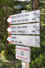 Dolomites high trail 1 to the Seekofel hut