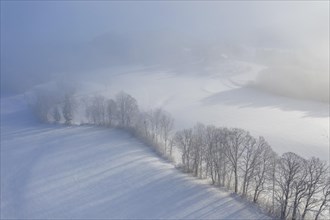 Winter morning with fog