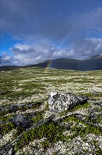 Rainbow in the tundra