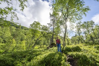 Hiker on trail in forest towards Innerdalen