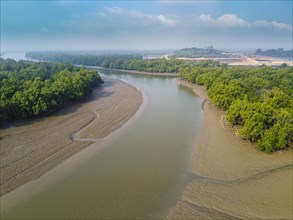 Aerial of water channel through the mangroves